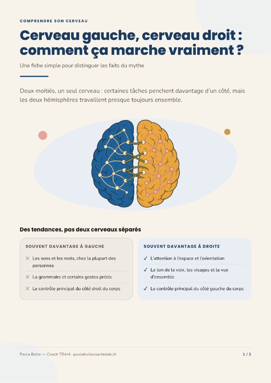 Cerveau gauche, cerveau droit : comment ça marche vraiment ?.pdf — page 1