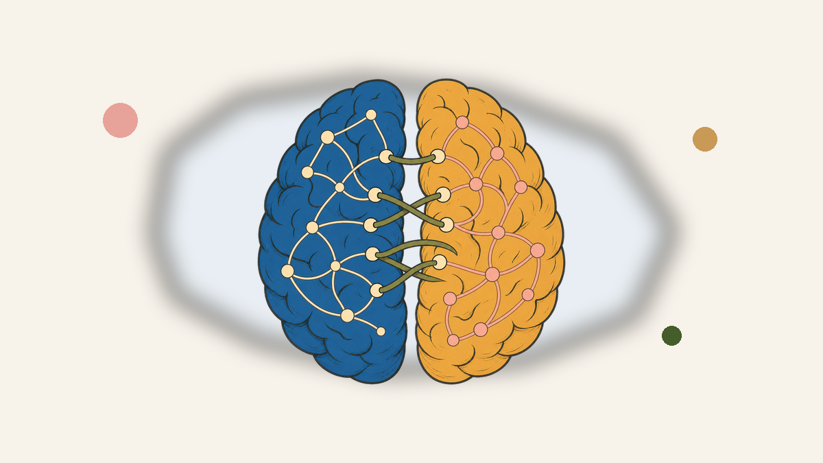 Cerveau gauche, cerveau droit : comment ça marche vraiment ? — Paola Bolle, coach TDAH